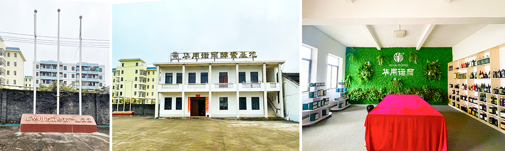 海南华用诺丽产业园直供诺丽果原料,诺丽果酵素贴牌代工